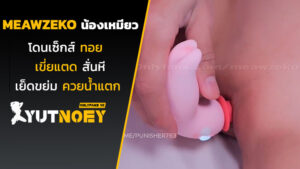 meawzeko น้องเหมียวโดนเซ็กส์ทอย